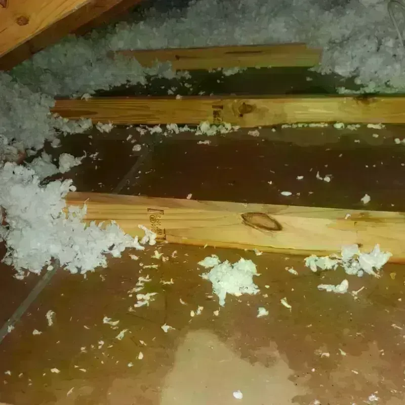 Attic Water Damage in Fairview, NJ