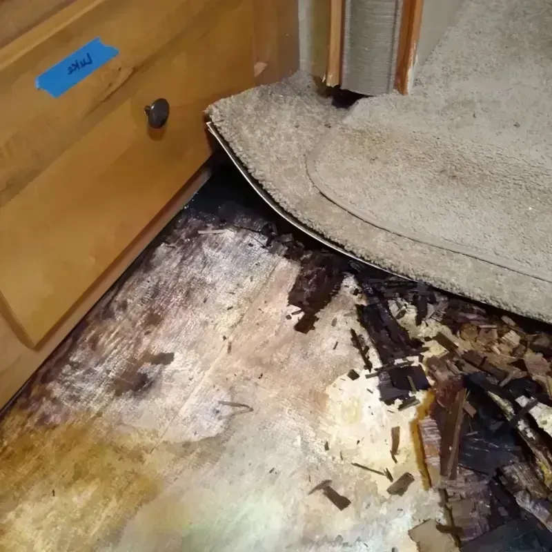 Wood Floor Water Damage in Fairview, NJ